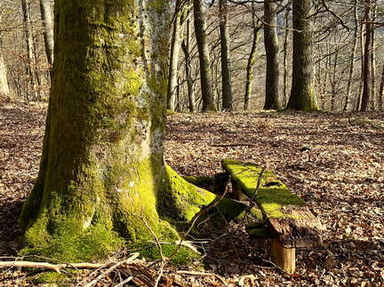 24-02-28 14-42-44 8789